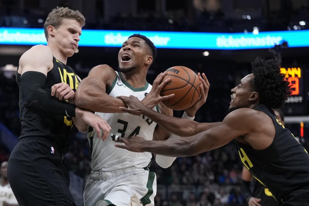 湖人队的内 湖人队的内