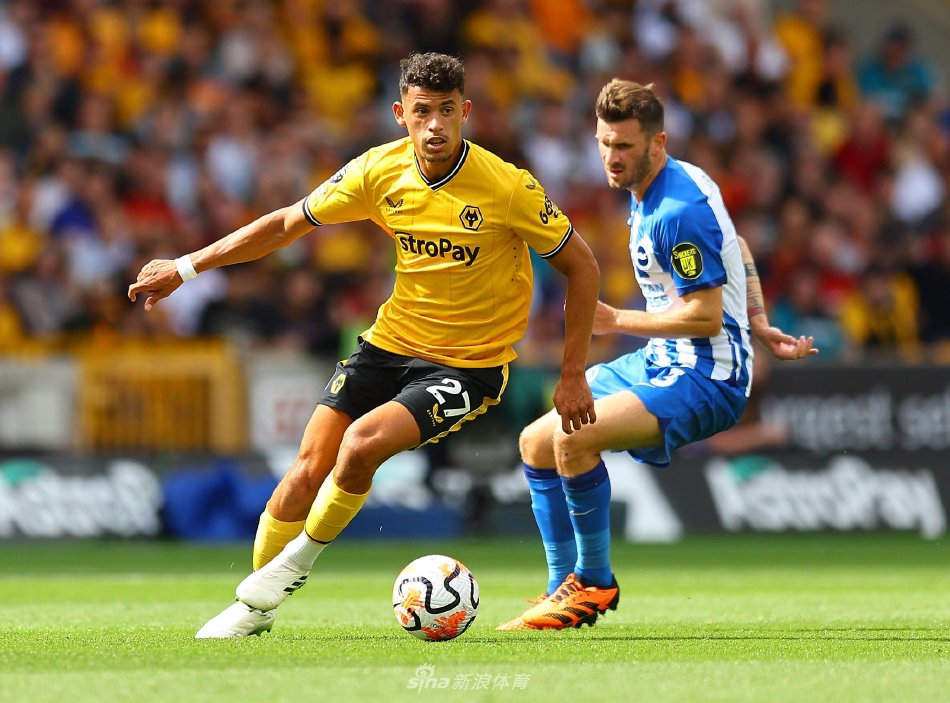 阿密赛冠军 阿密赛冠军